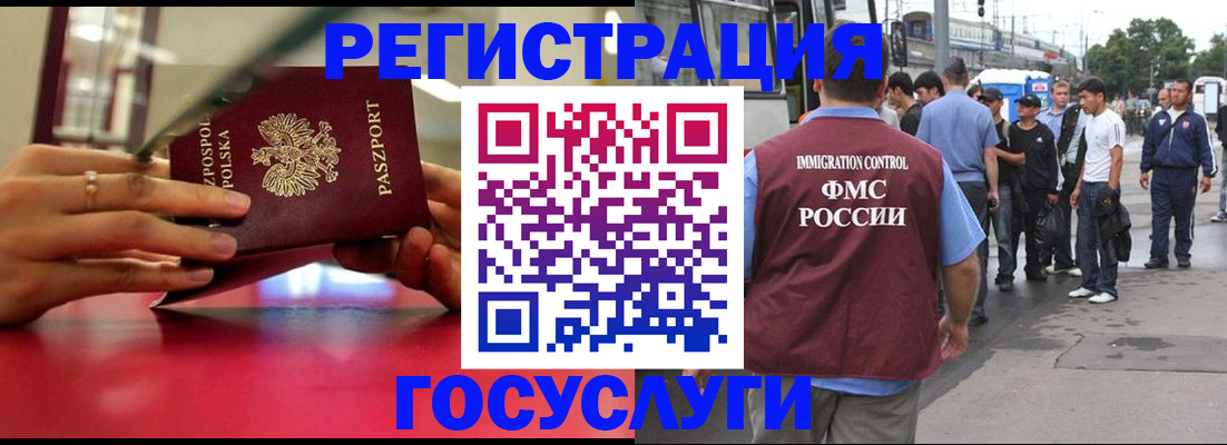 прописка поиск в Елизово